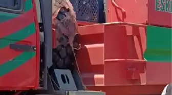 Eskişehir'de Orman Yangınında 10 Şehit Verildi