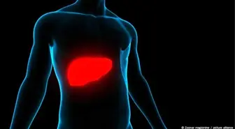 Hepatit Türleri ve Tedavi Yöntemleri