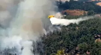Bursa'da Orman Yangınına Havadan Müdahale Başlatıldı