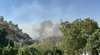 Aydın'da Tarım Arazisinde Çıkan Yangın Ormana Sıçradı