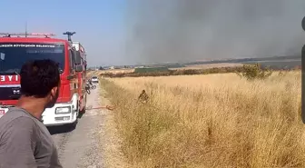 Susurluk'ta Merada Yangın Çıktı
