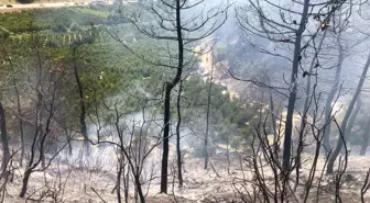 Bilecik'te Orman Yangını Kontrol Altına Alındı