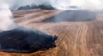 Bilecik'te Buğday Tarlasında Yangın Kontrol Altına Alındı