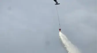 Bingöl'de İki Farklı Noktada Orman Yangını