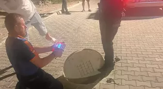 Bodrum'da Kanalizasyon Temizliği Sırasındaki Gaz Zehirlenmesi