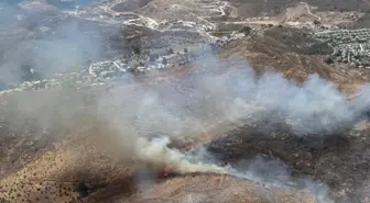 Bodrum'da Otluk Alanda Yangın Çıktı