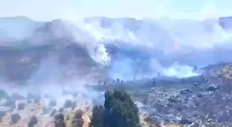 Bodrum'da Zamanında Müdahele ile Yangın Kontrol Altına Alındı