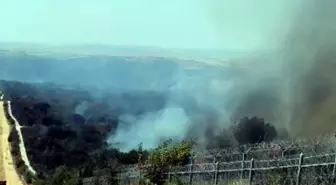 Bulgaristan'daki Orman Yangını Alevleri Türkiye Sınırına Ulaştı