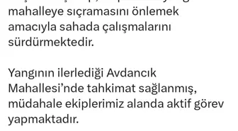 Bursa'da Orman Yangını Avdancık Mahallesi'ne Yaklaşıyor