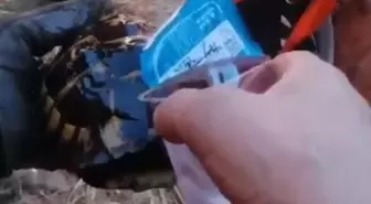 Orhaneli'nde Yangından Kurtarılan Kaplumbağaya Yardım Eli