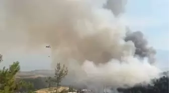 Bursa'da Yangın Ekipleri Alevlerle Mücadele Ediyor