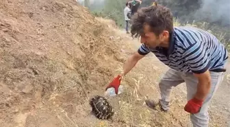 Orman Yangınında Vatandaşların Hayvan Kurtarma ve Yardım Çabaları