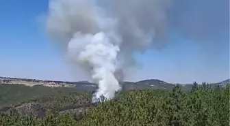 Bursa'da Orman Yangını Yeniden Alevlendi