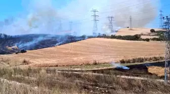 Gelibolu'da Tarım Arazisinde Yangın Kontrol Altına Alındı