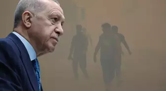 Cumhurbaşkanı Erdoğan'dan orman yangınlarıyla ilgili açıklama: Gece gündüz teyakkuz hâlindeyiz