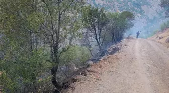 Elazığ'da Yangın Kontrol Altına Alındı