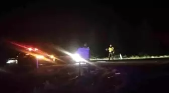 Eskişehir'de Kuşun Çarpması Yangın Çıkardı