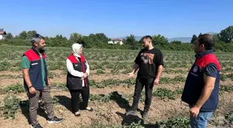 Düzce'de Üniversite Öğrencisi Genç Çiftçi Öne Çıkıyor