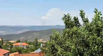 Bursa'da Orman Yangını İkinci Gününde Büyüyor