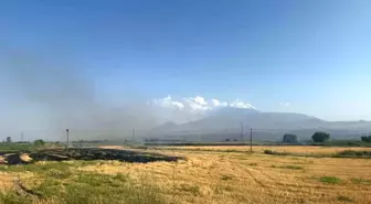 Iğdır'da Anız Yangını Tarlalara Sıçradı