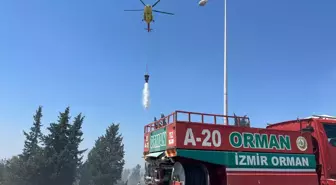 İzmir Buca'da Orman Yangını: Ekipler Mücadele Ediyor