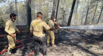 Karabük'te Orman Yangınları 5. Günüde Devam Ediyor