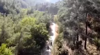 Aydın'da Sıcaklık 46 Dereceyi Buldu, Orman Yangınlarına Karşı Uyarılar Yapıldı
