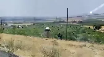 Karpuz tarlası sahibi karşılaştığı manzara karşısında şoke oldu