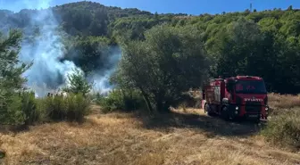 Kastamonu Pınarbaşı'ndaki Orman Yangını Hızla Söndürüldü