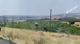 Mardin'de karpuz tarlası sahibi karşılaştığı görüntü karşısında şoke oldu