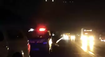 Muş'ta Trafik Kazası: 70 Yaşındaki Adam Hayatını Kaybetti
