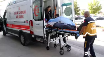 Otomobilin çarptığı bisiklet sevdalısı sağlık çalışanı hayatını kaybetti
