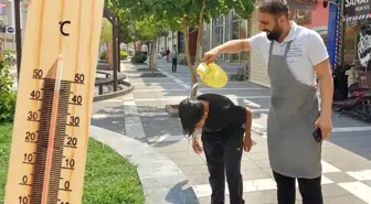 Tüm zamanların sıcaklık rekorunun kırıldığı Silopi'de hayat durma noktasına geldi