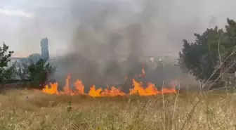 Sivas'ta Ot Yangını: Ekipler ve Mahalleli El Ele