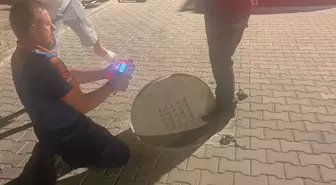 Bodrum'da Atık Su Hattında Gaz Zehirlenmesi