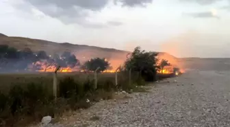 Tuşba'da Ağaçlık Alanda Yangın, İtfaiye Ekiplerinin Mücadelesiyle Söndürüldü