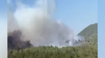 Bursa'daki Orman Yangınında Kalp Krizi Geçiren İtfaiye Eri Hayatını Kaybetti