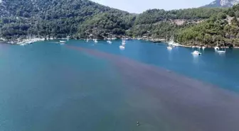 Kızkumu Plajı, Yerli ve Yabancı Turistlerin Gözdesi