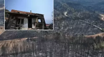 Yüzde 72'si ormanla kaplı Karabük'ün son hali yürek yakıyor