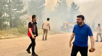 Karabük'te Orman Yangını: Tarihin En Büyük Afeti