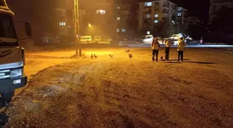 Beypazarı'nda Kümeste Çıkan Yangında 41 Tavuk Telef Oldu