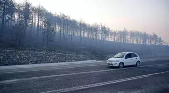 Bursa'da Orman Yangını 3. Gününde Kontrol Altına Alınmaya Çalışılıyor