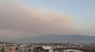 Bursa'daki orman yangınının dumanı kent semalarına ulaştı