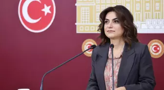 Koçyiğit: 'Terörsüz Türkiye' Sürecinde Demokratikleşme Şart
