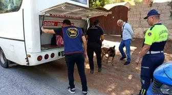 Didim'de Festival Süresince 17 Aranan Şahıs Yakalandı