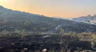 Diyarbakır'da Merada Çıkan Yangın Ormana Sıçradı