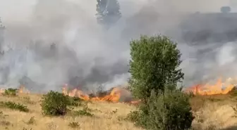 Diyarbakır'da Kırsal Alanda Yangın Çıktı, Müdahale Sürüyor