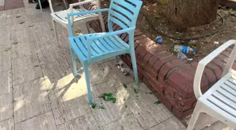 Aydın'da Alacak Meselesi Kavgaya Dönüştü: Bir Kişi Yaralandı