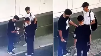 Güpegündüz yaptıklarına bakın! Görüntü Meksika'dan değil Türkiye'den
