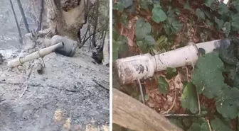 Sakarya'daki orman yangınının sebebi belli oldu: 2 gözaltı
